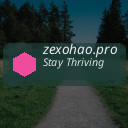 zexohao.pro